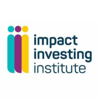 Impact Investing Institute
