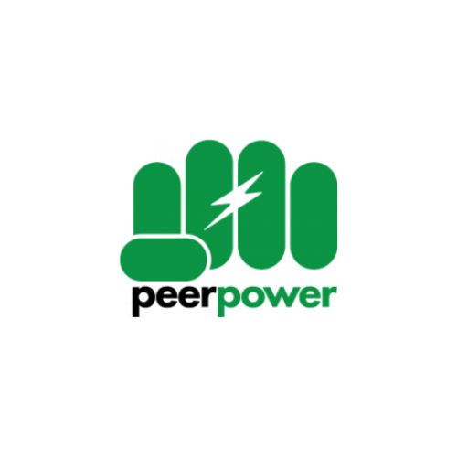 Peer Power Inclusive Hires