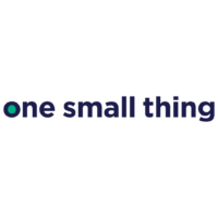 One Small Thing