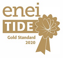 enei tide gold standard 2020